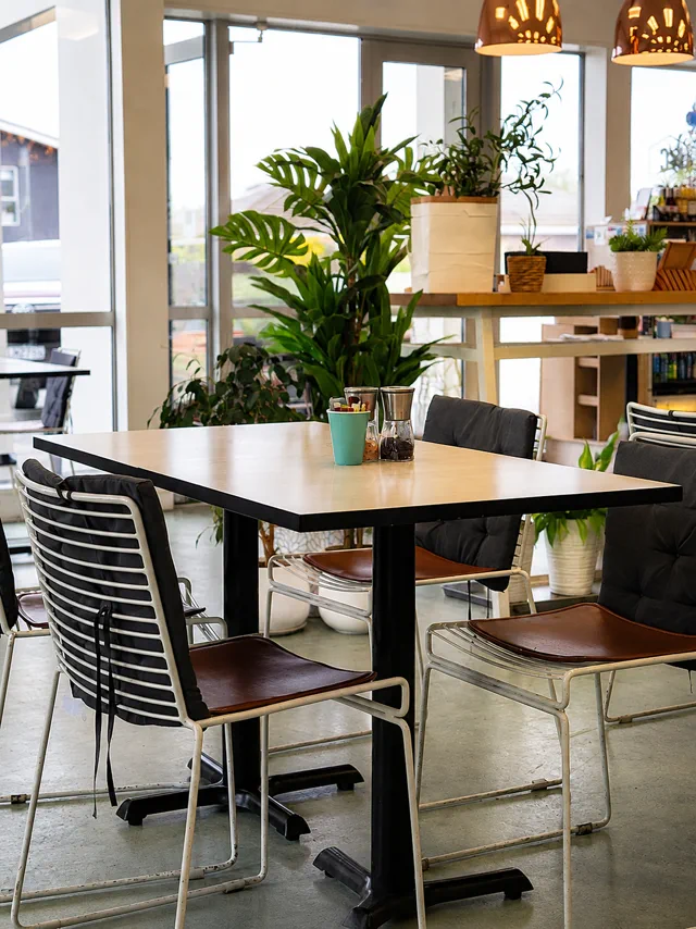 Window-side tables, plants and pendant lights inside Daydream Café