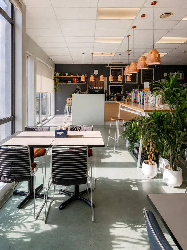 Sunlight across tables, hanging lights and plants inside the café